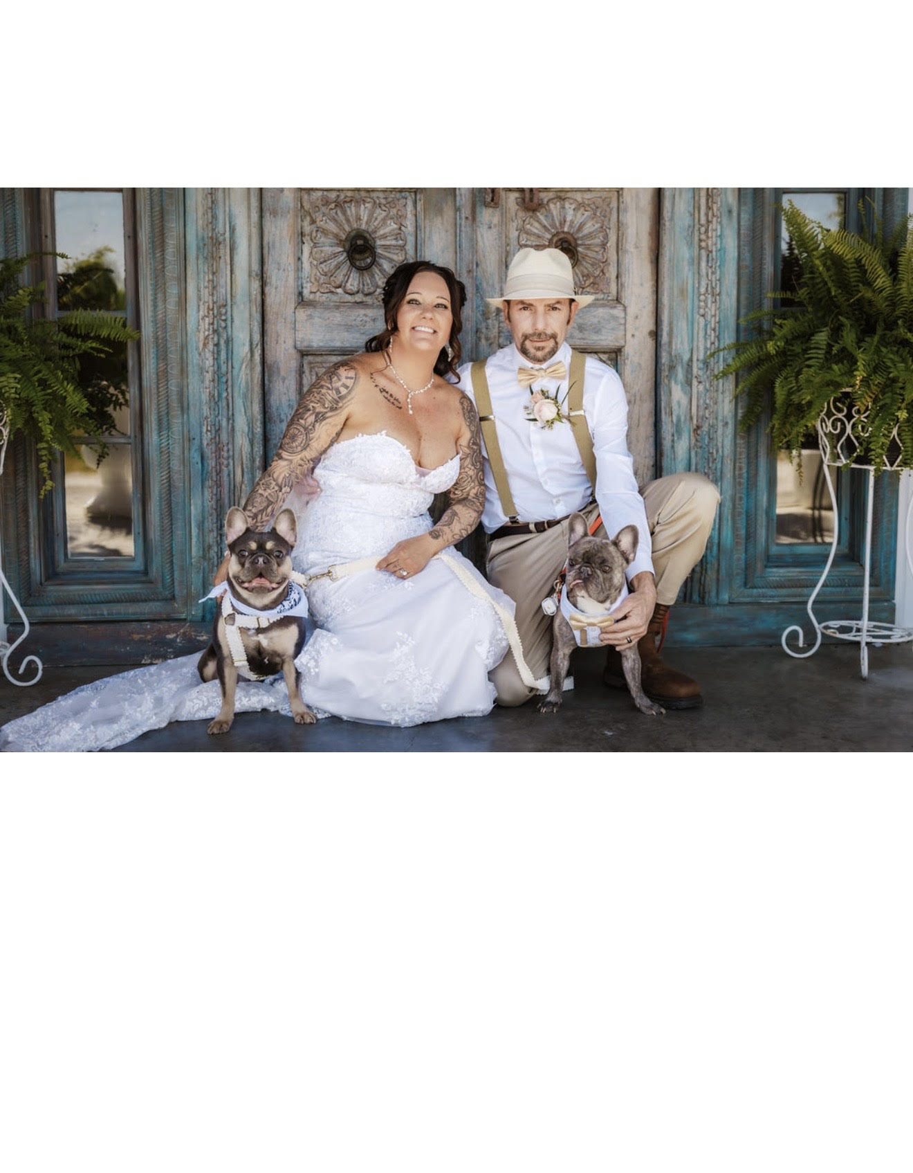 Couple with their French Bulldogs on wedding day